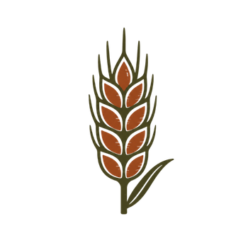 Logo Korn Weizen Grün braun Icon 10 Jahre haltbar notvorrat der schmeckt